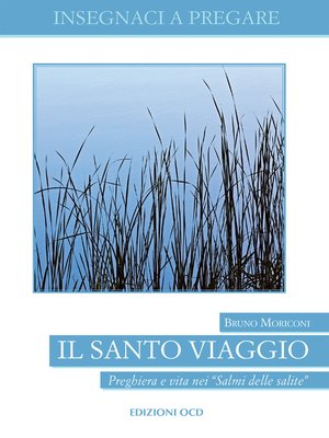 cover image of Il Santo viaggio